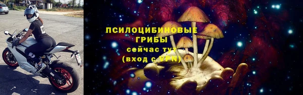 a pvp Каменногорск