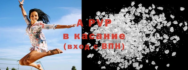 a pvp Каменногорск